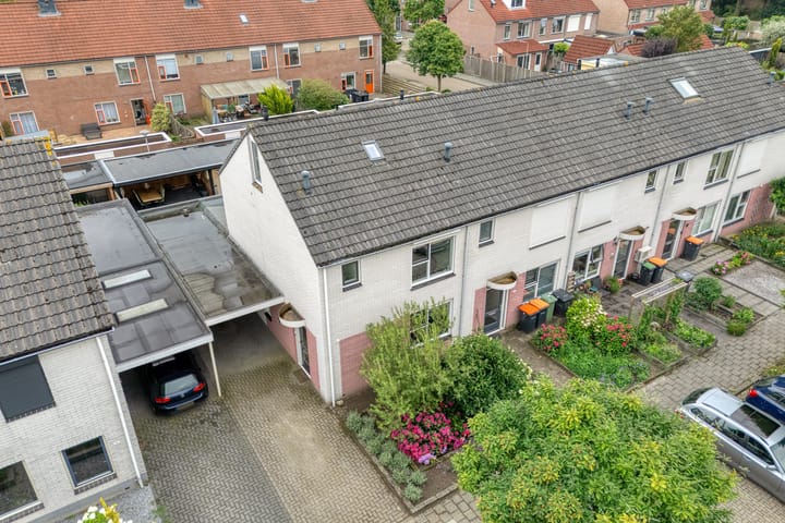 Photo 4 of Boterbloem 132