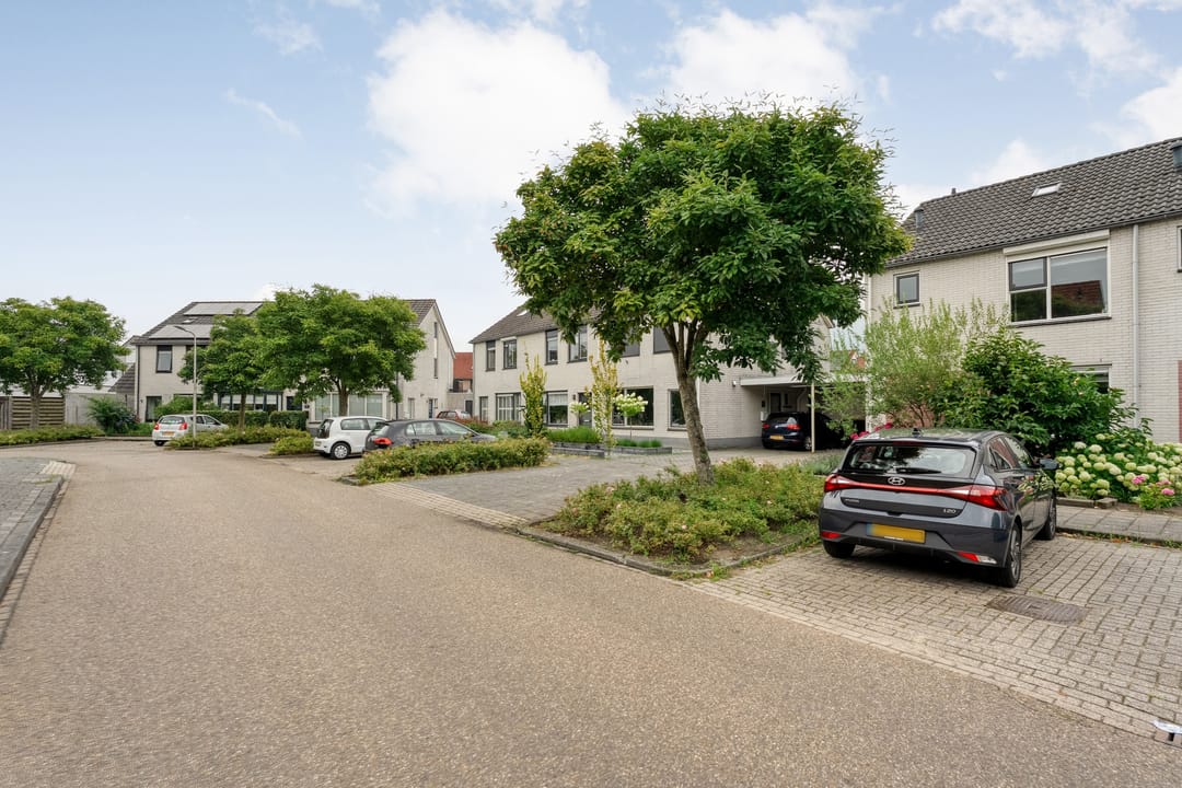 Foto 7 van Boterbloem 132