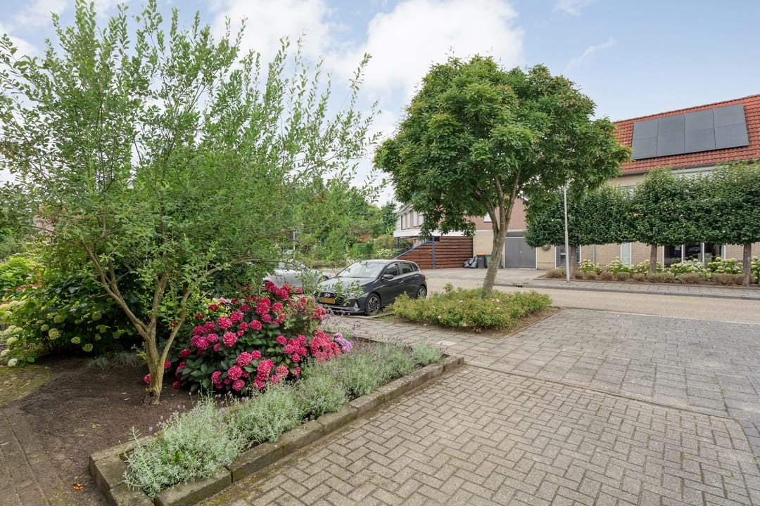 Foto 8 van Boterbloem 132