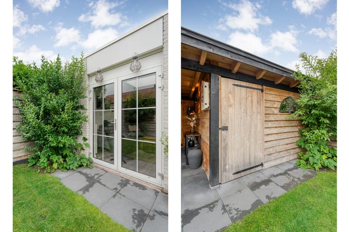 Photo 3 of Boterbloem 132