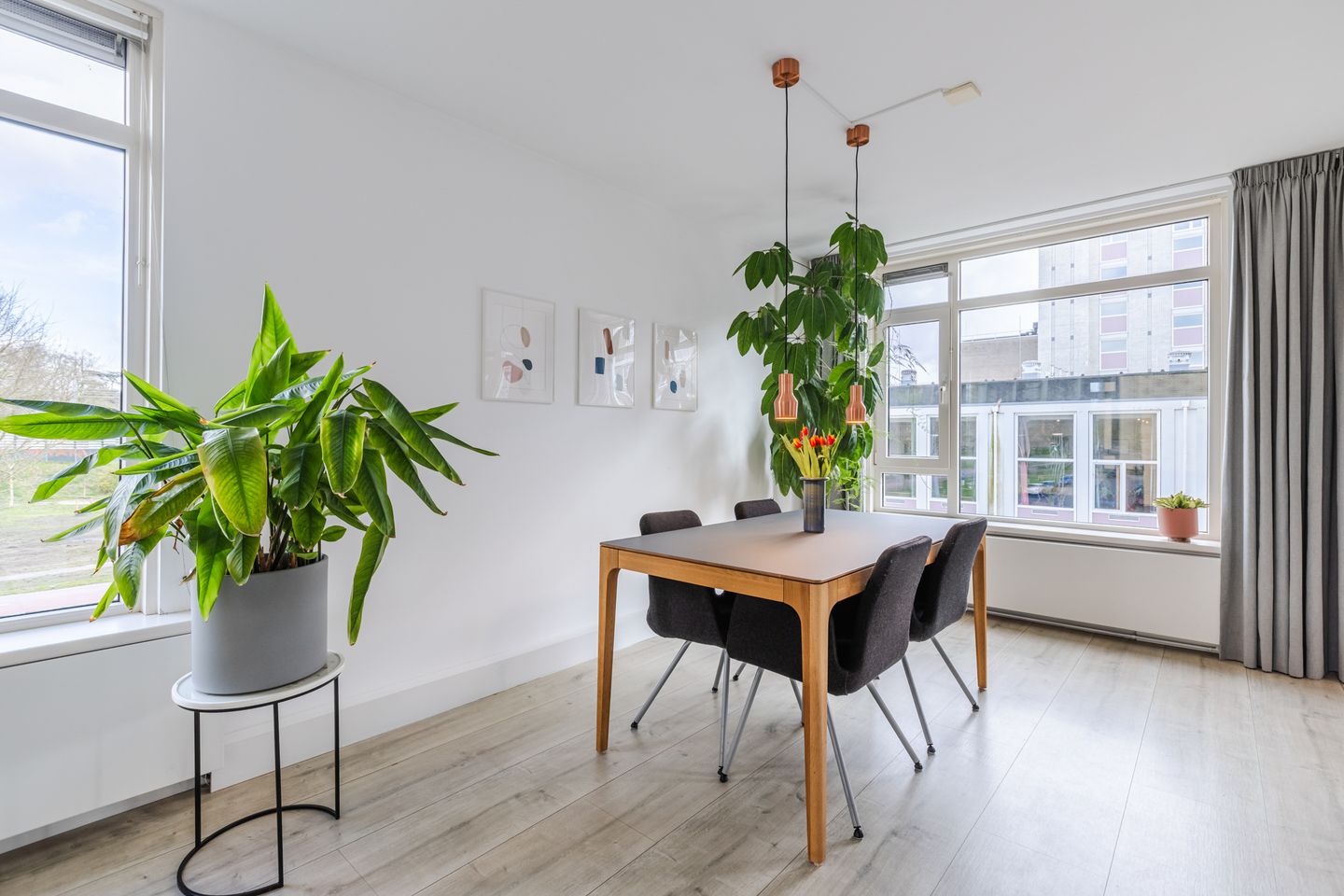 Foto 10 van Tolsteegplantsoen 49-1