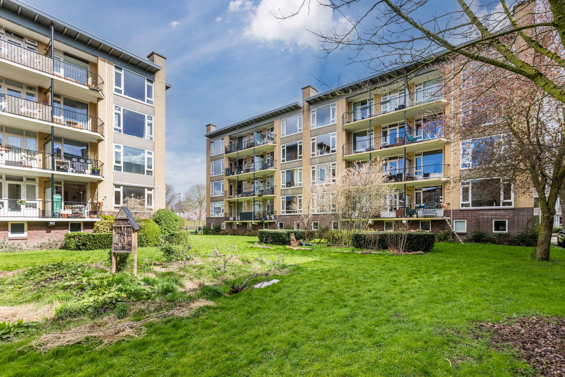 Foto 39 van Tolsteegplantsoen 49-1