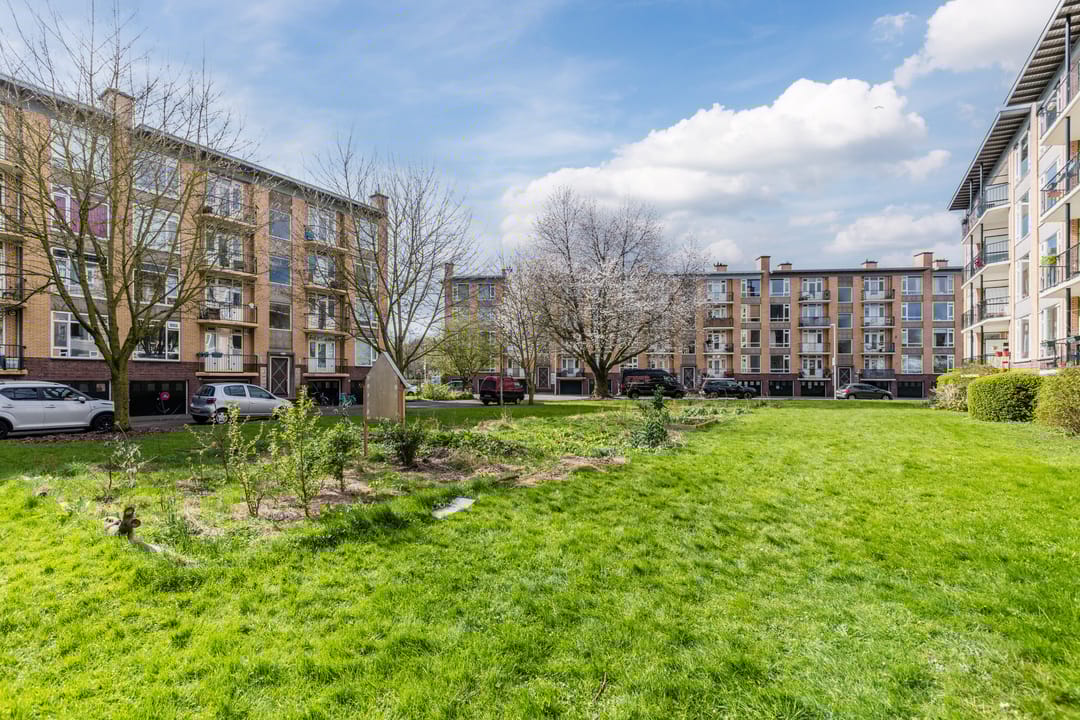 Foto 43 van Tolsteegplantsoen 49-1