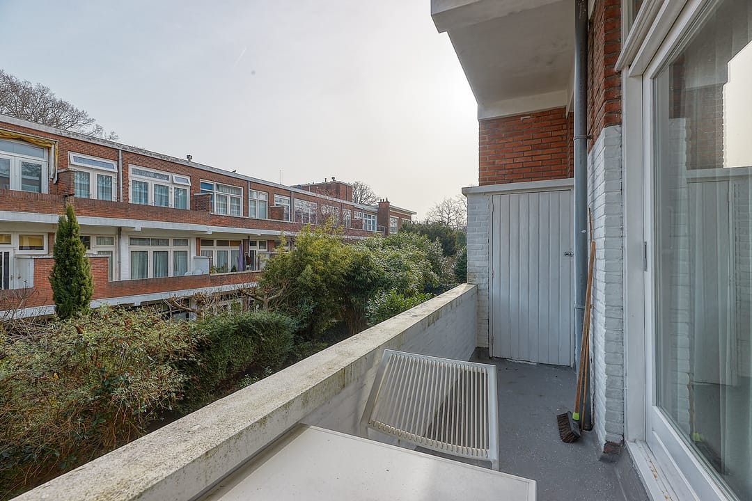 Foto 16 van Van Alkemadelaan 181