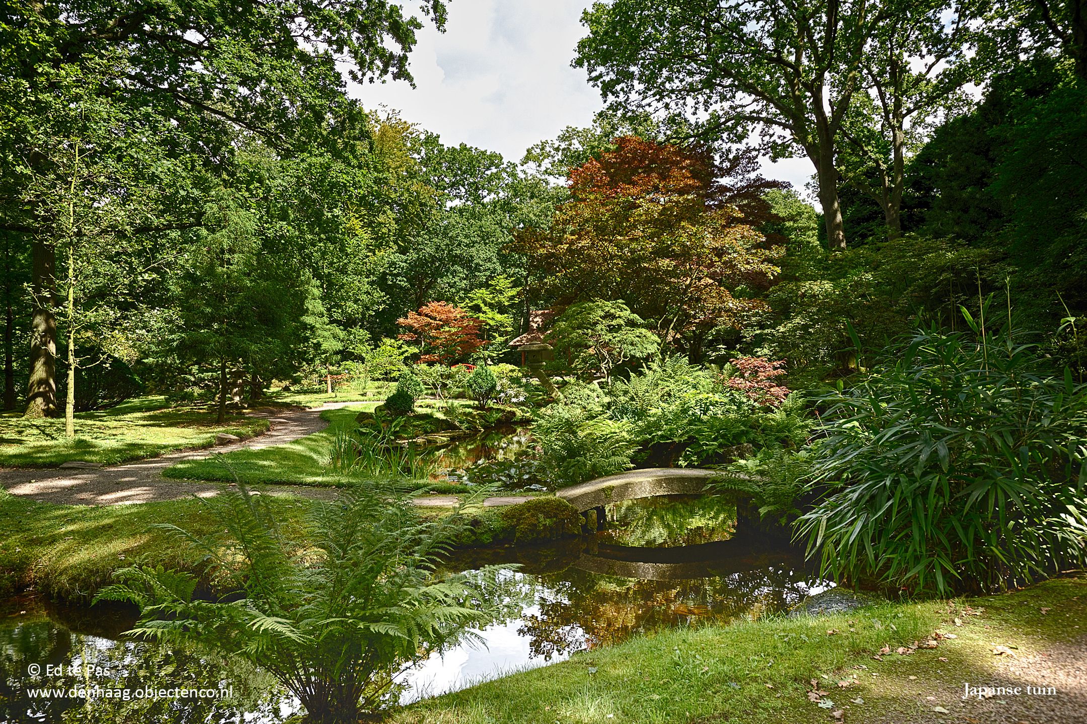 Foto 42 van Van Alkemadelaan 181