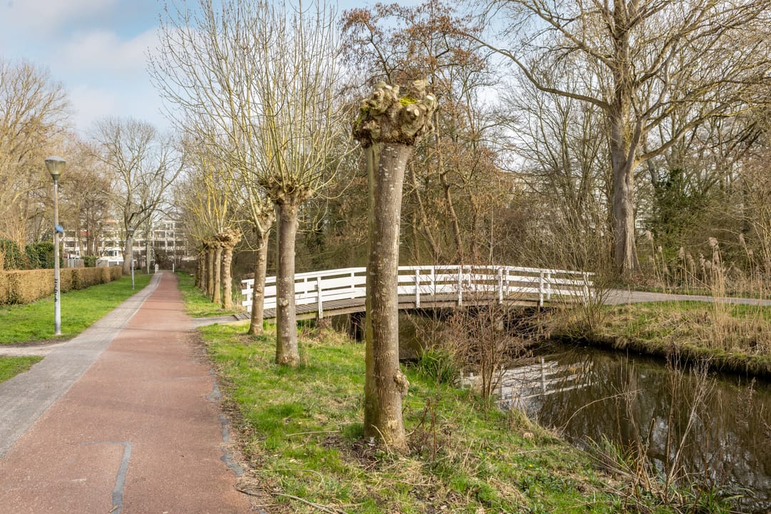 Foto 43 van Eendenkooistraat 14