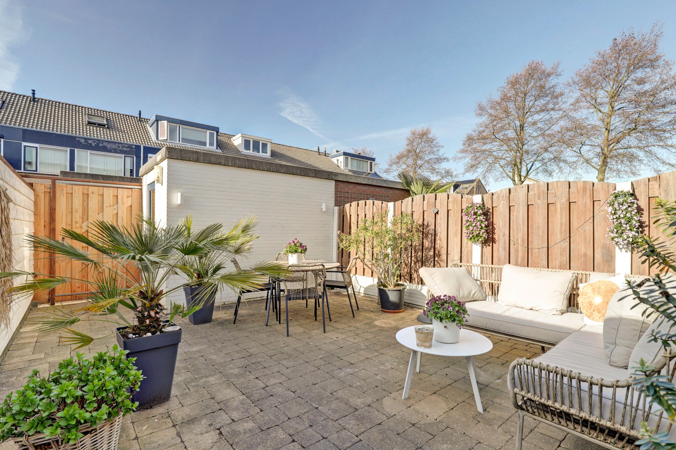 Foto 3 van Koolmees 15