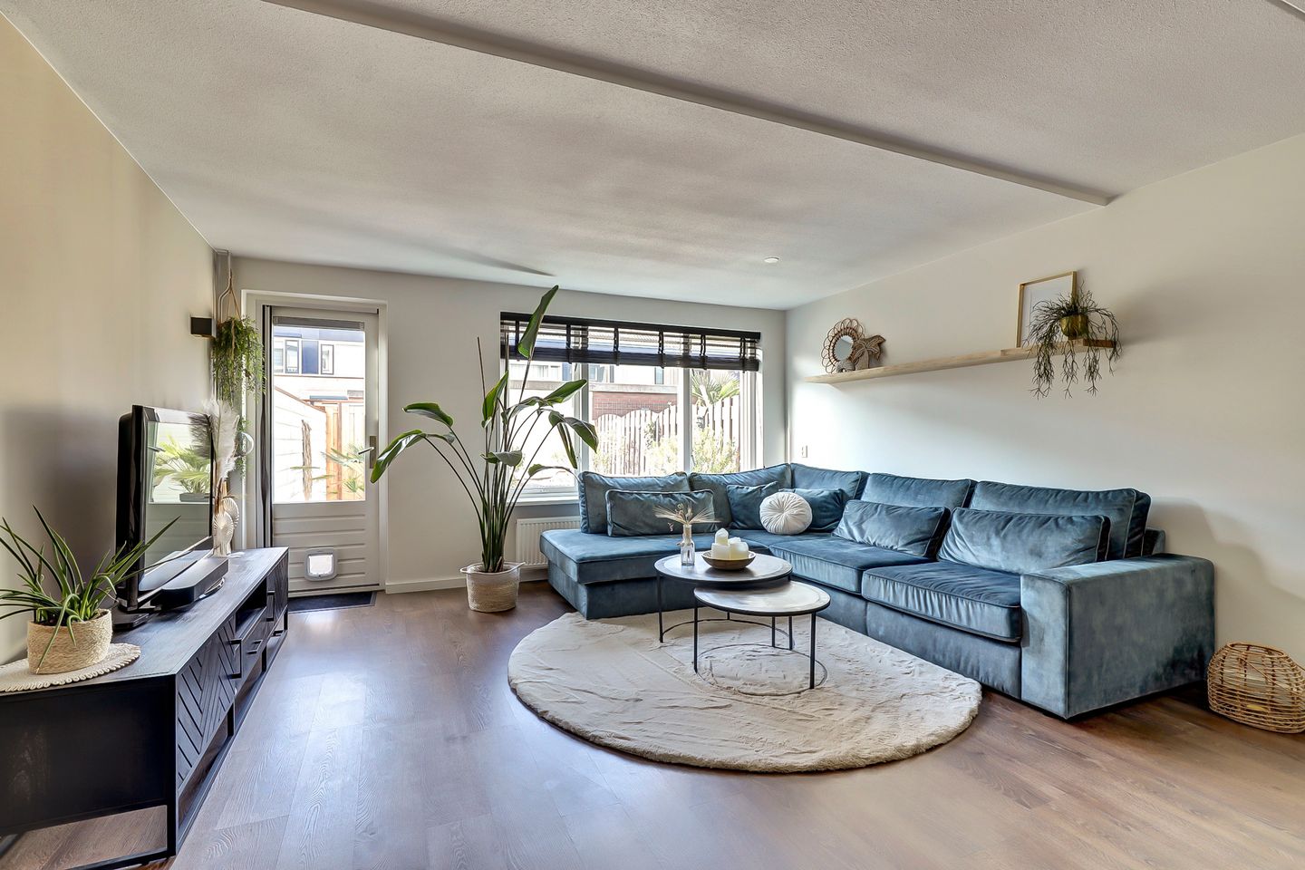 Foto 4 van Koolmees 15