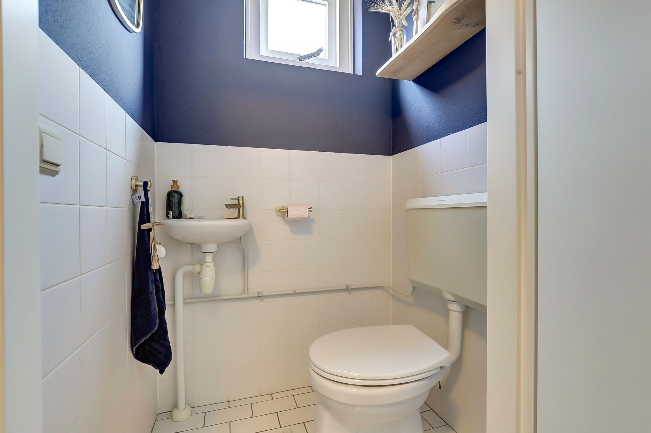 Foto 9 van Koolmees 15