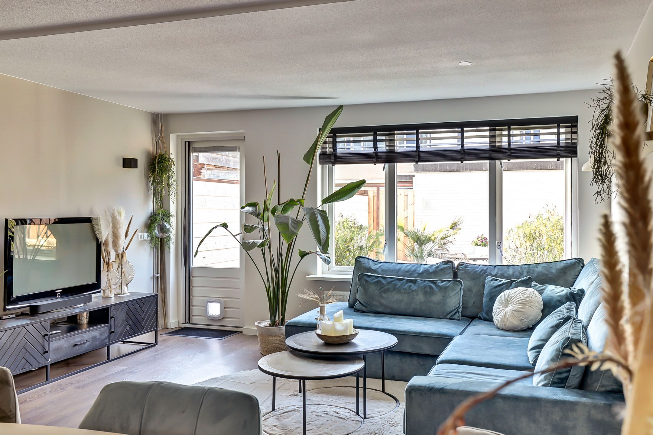 Foto 15 van Koolmees 15