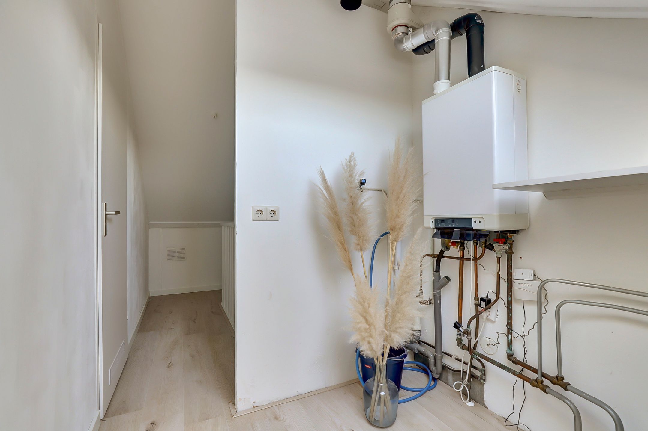 Foto 30 van Koolmees 15