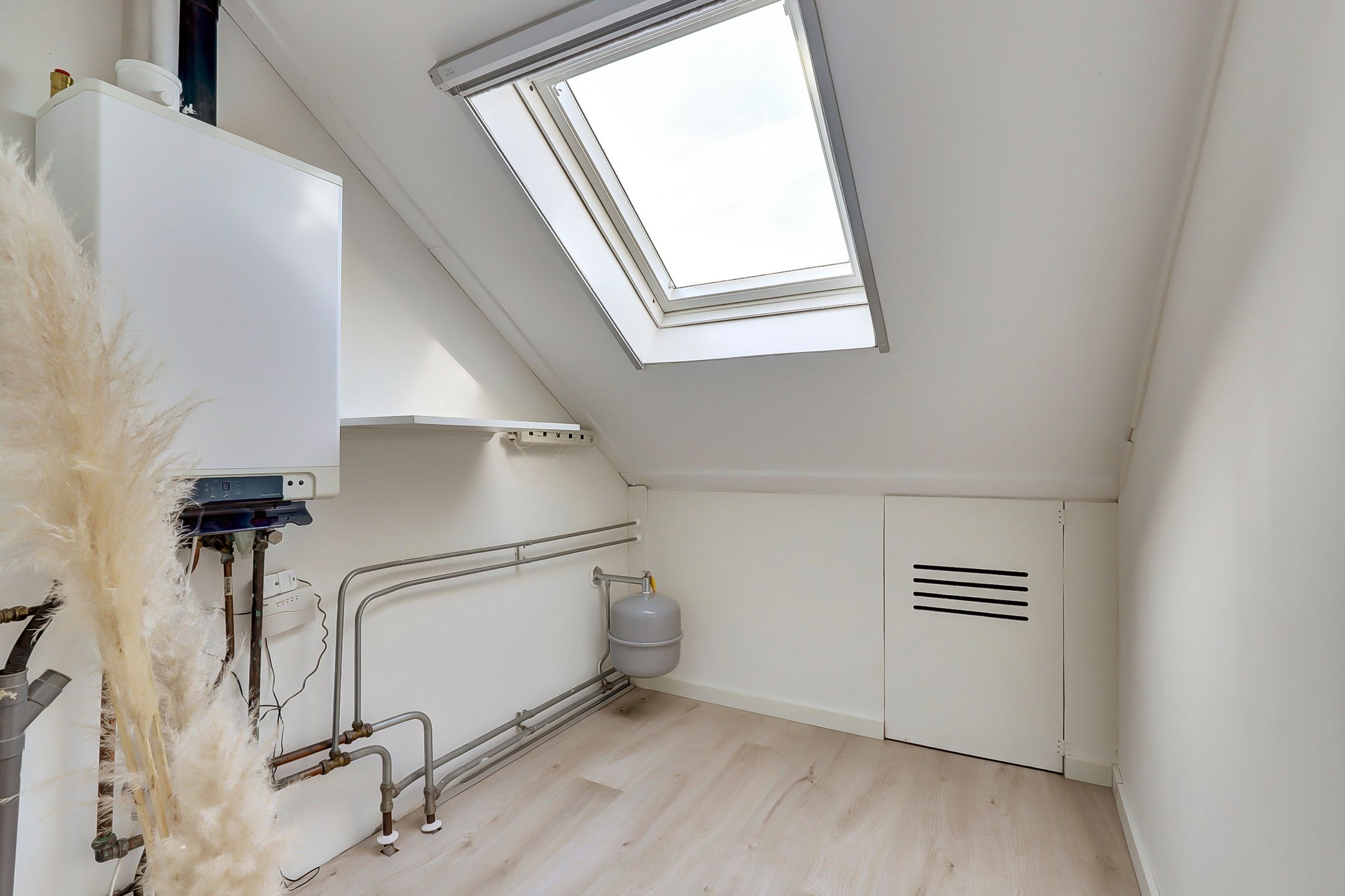 Foto 33 van Koolmees 15