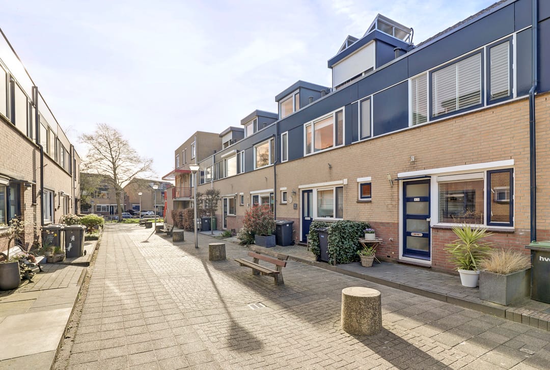 Foto 38 van Koolmees 15