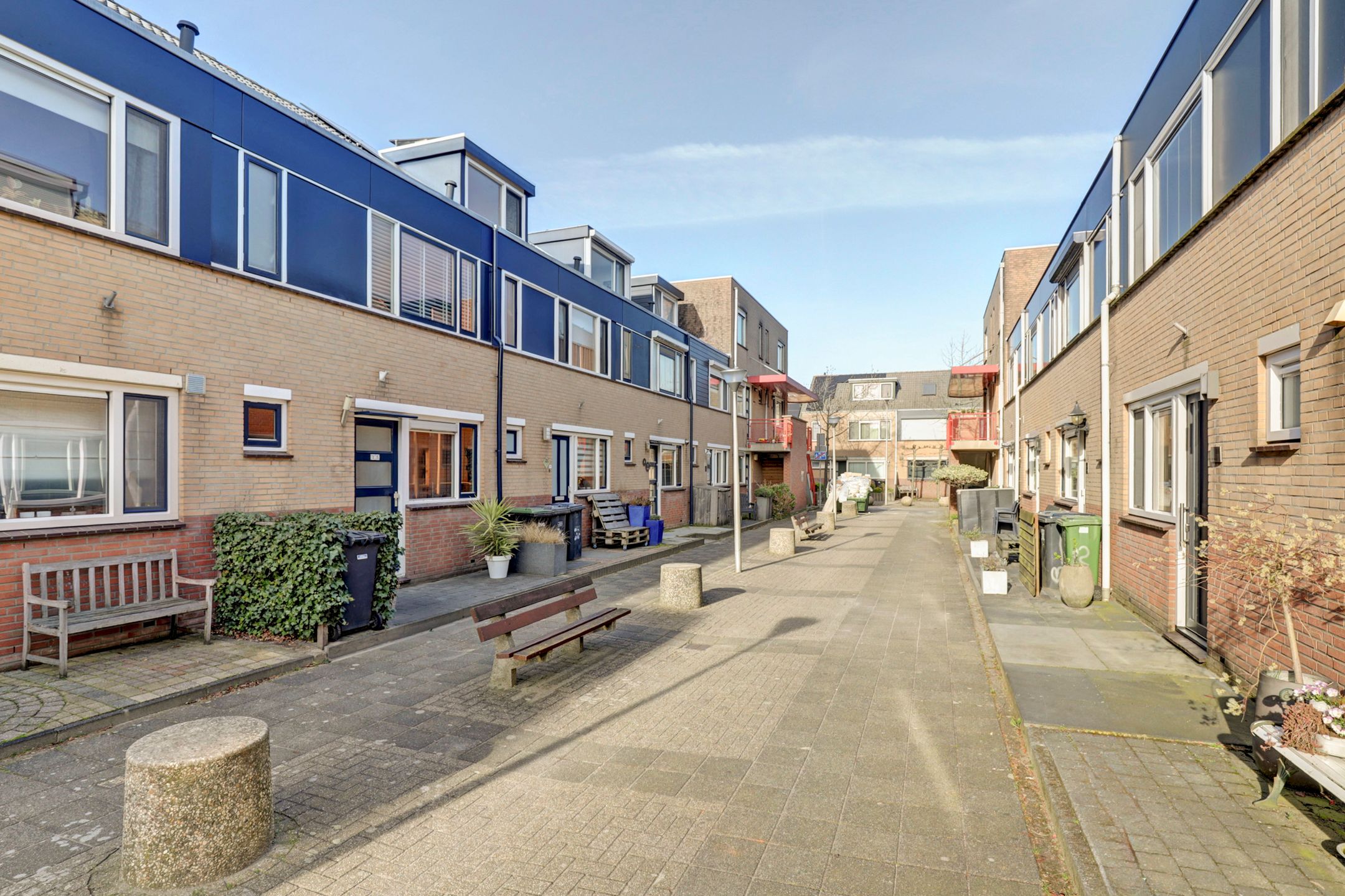 Foto 36 van Koolmees 15