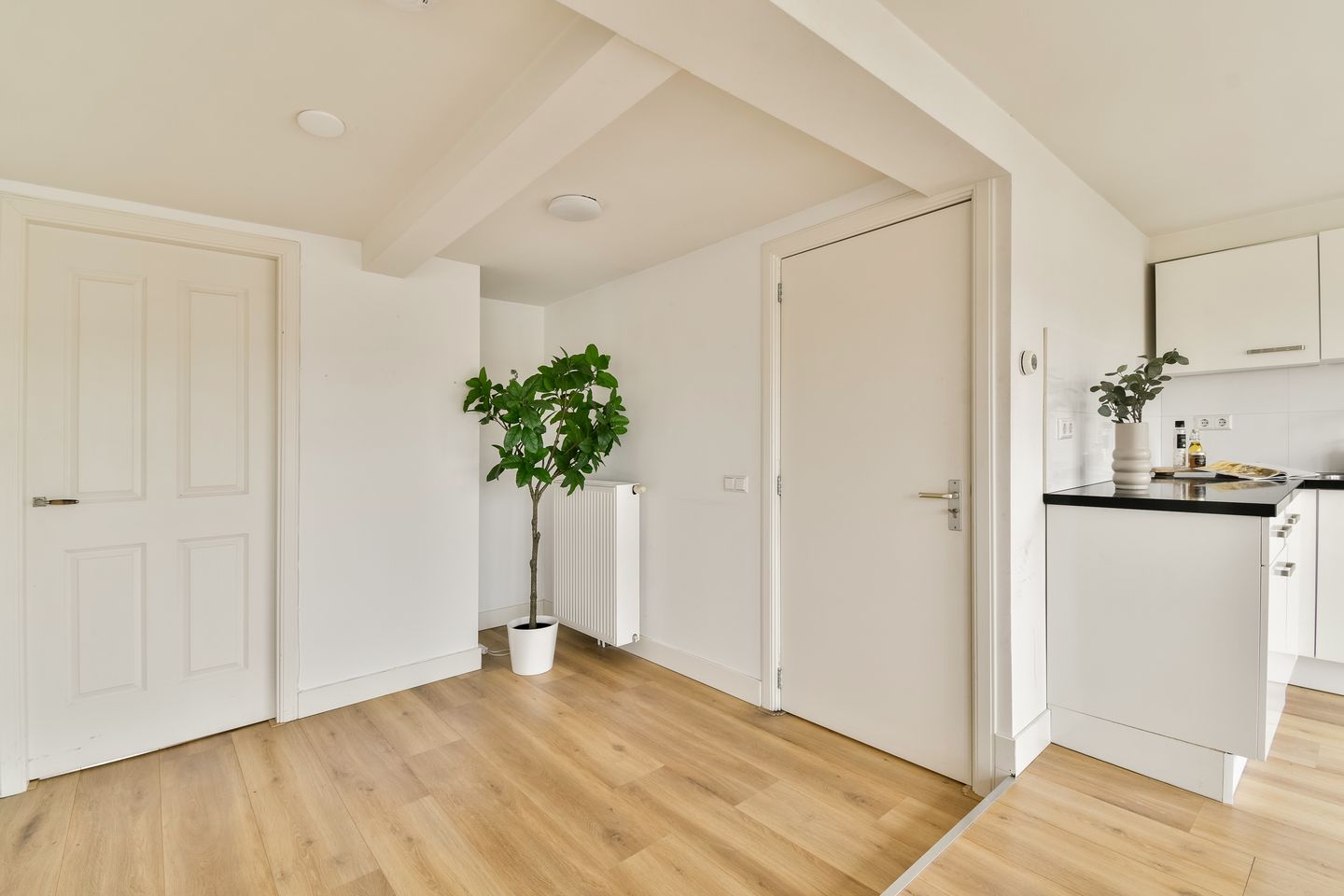 Foto 10 van Paramariboplein 53-4