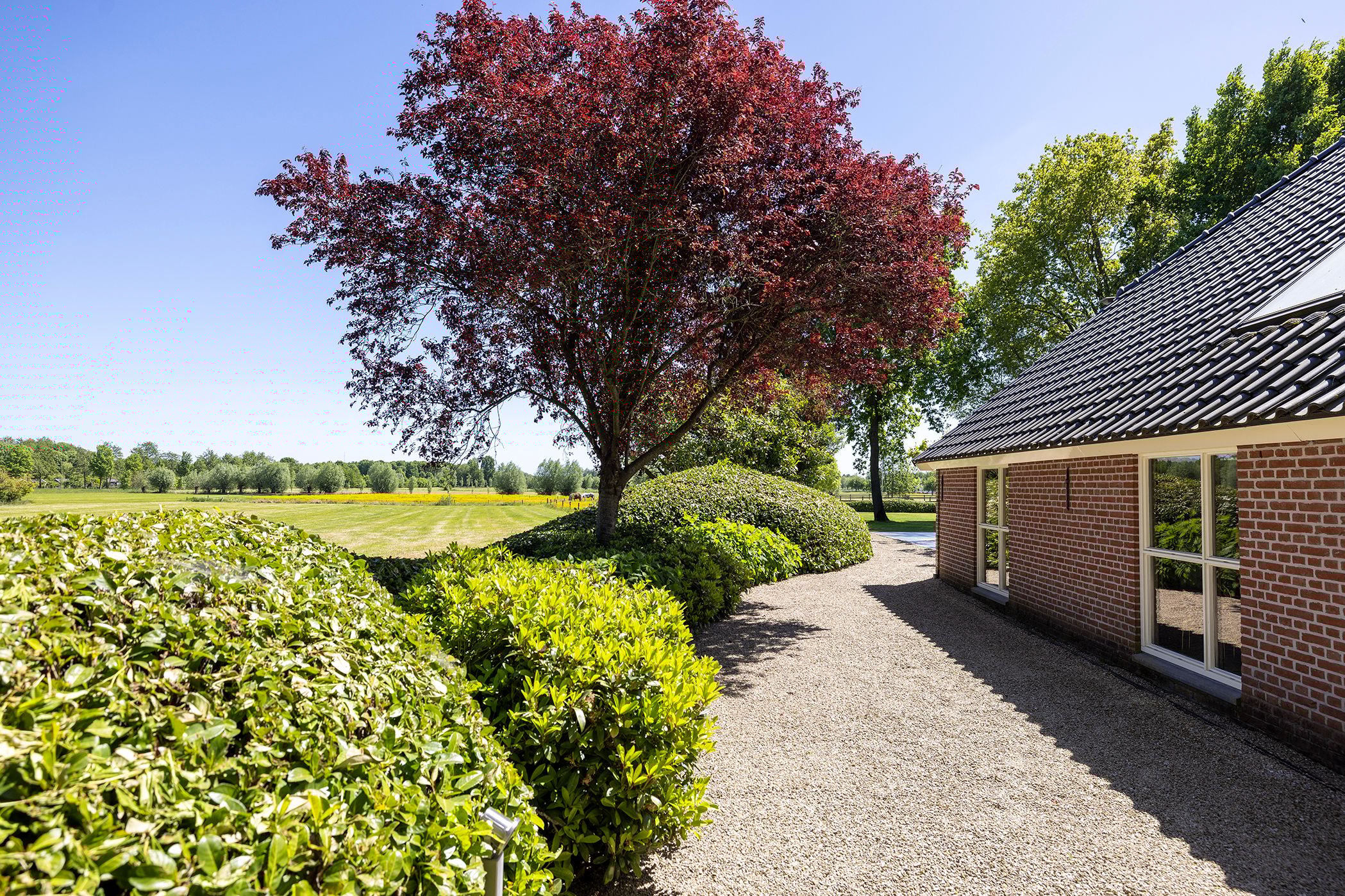 Foto 12 van Schellerbergweg 33