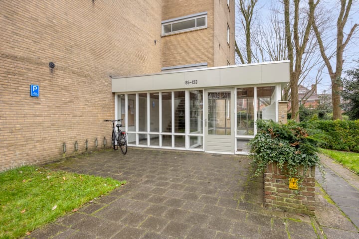 Foto 4 van Willem de Bijelaan 99