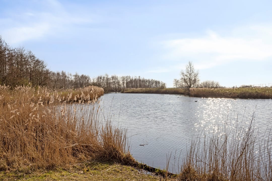 Photo 46 of Suezweg 64