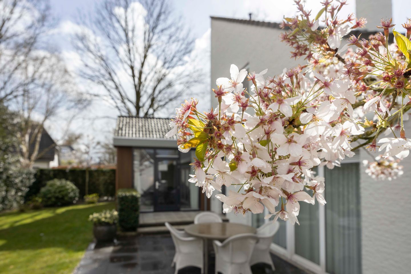 Foto 34 van Frankenbocht 1