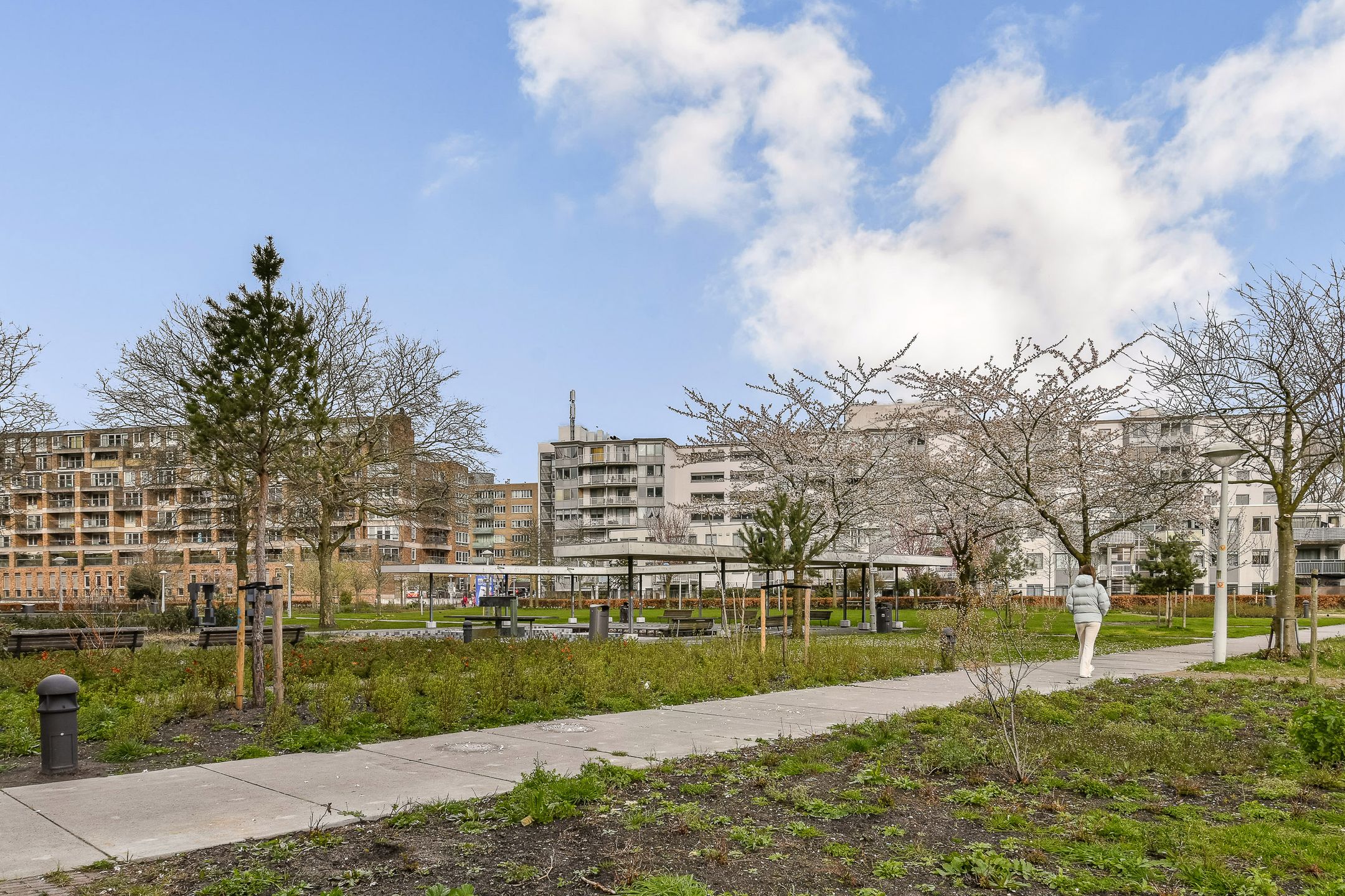 Photo 18 of Bos en Lommerplantsoen 107-A