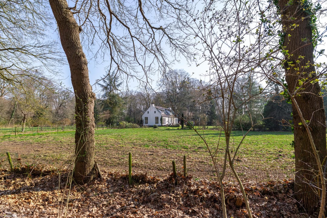 Photo 47 of Oosterbroek 3