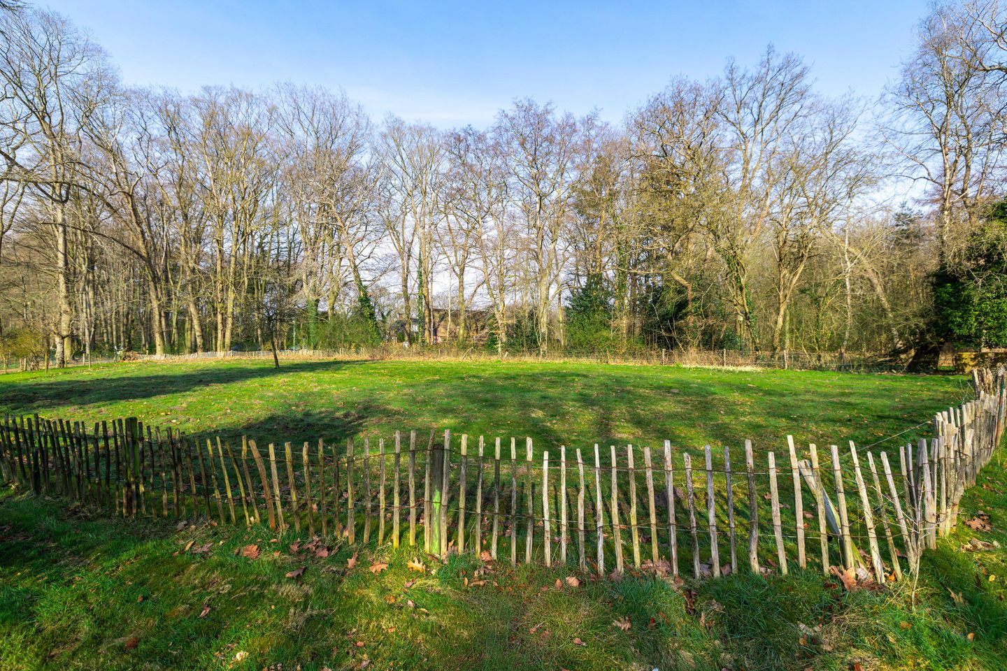 Photo 55 of Oosterbroek 3