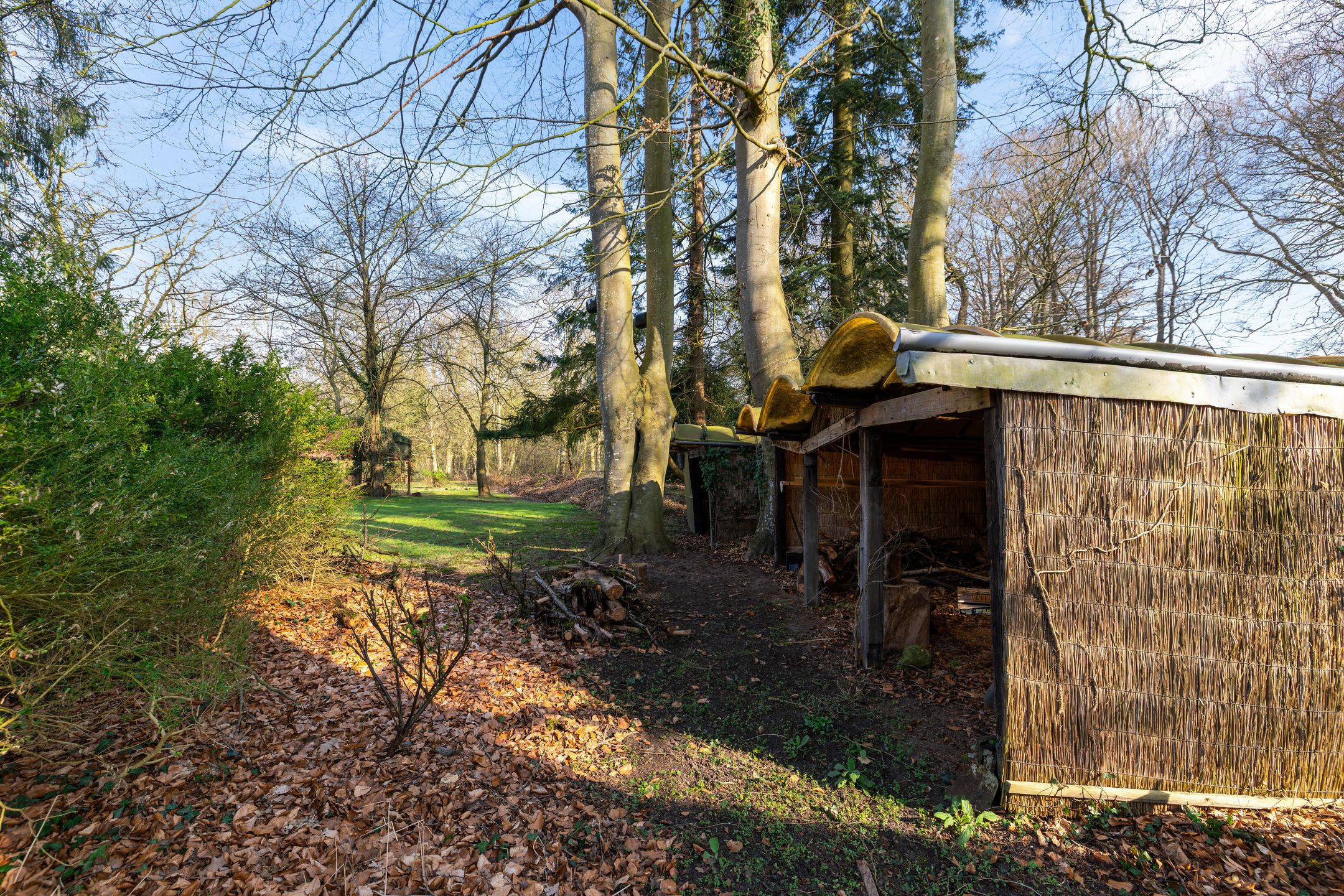 Photo 39 of Oosterbroek 3