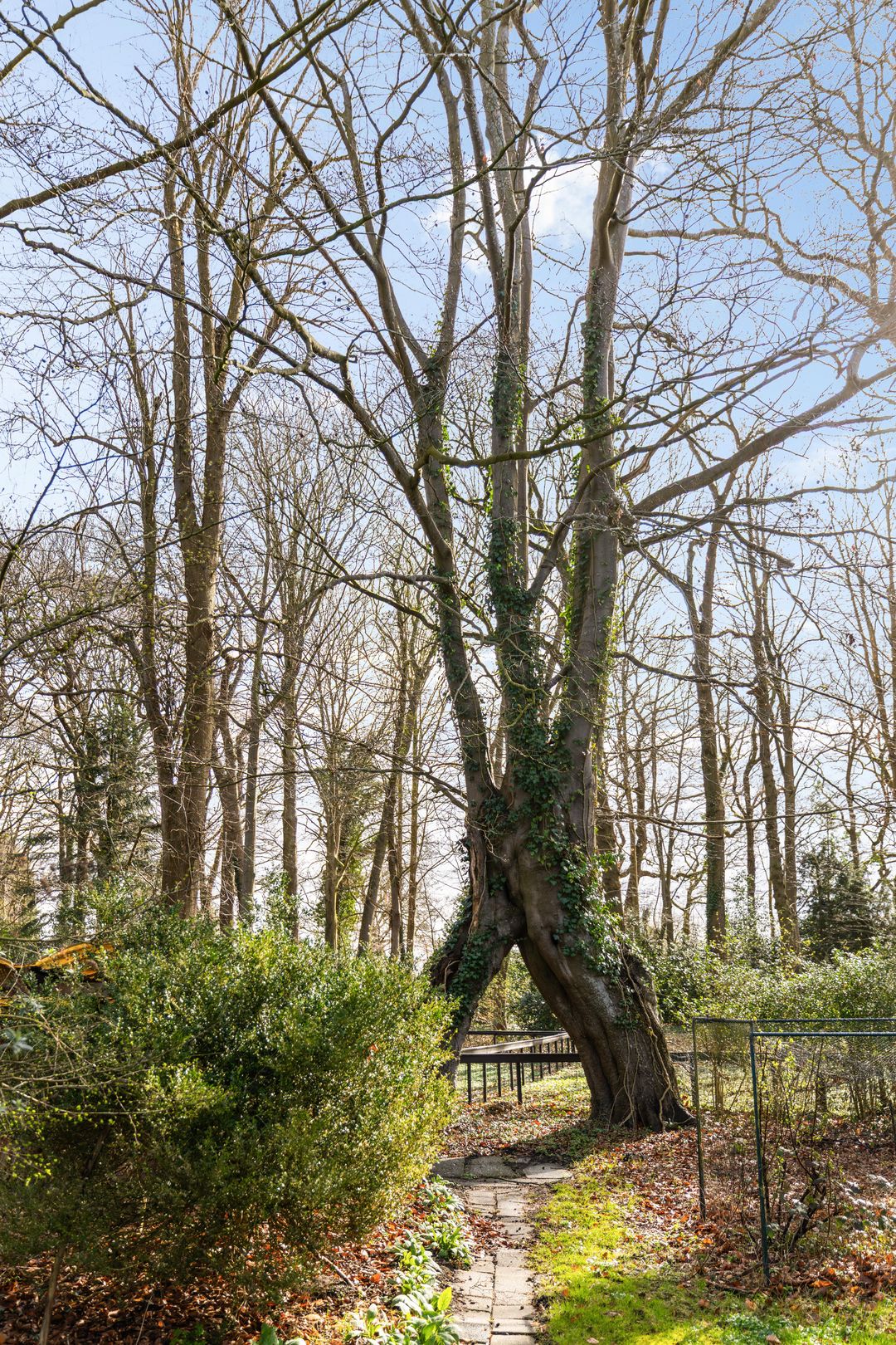 Photo 41 of Oosterbroek 3