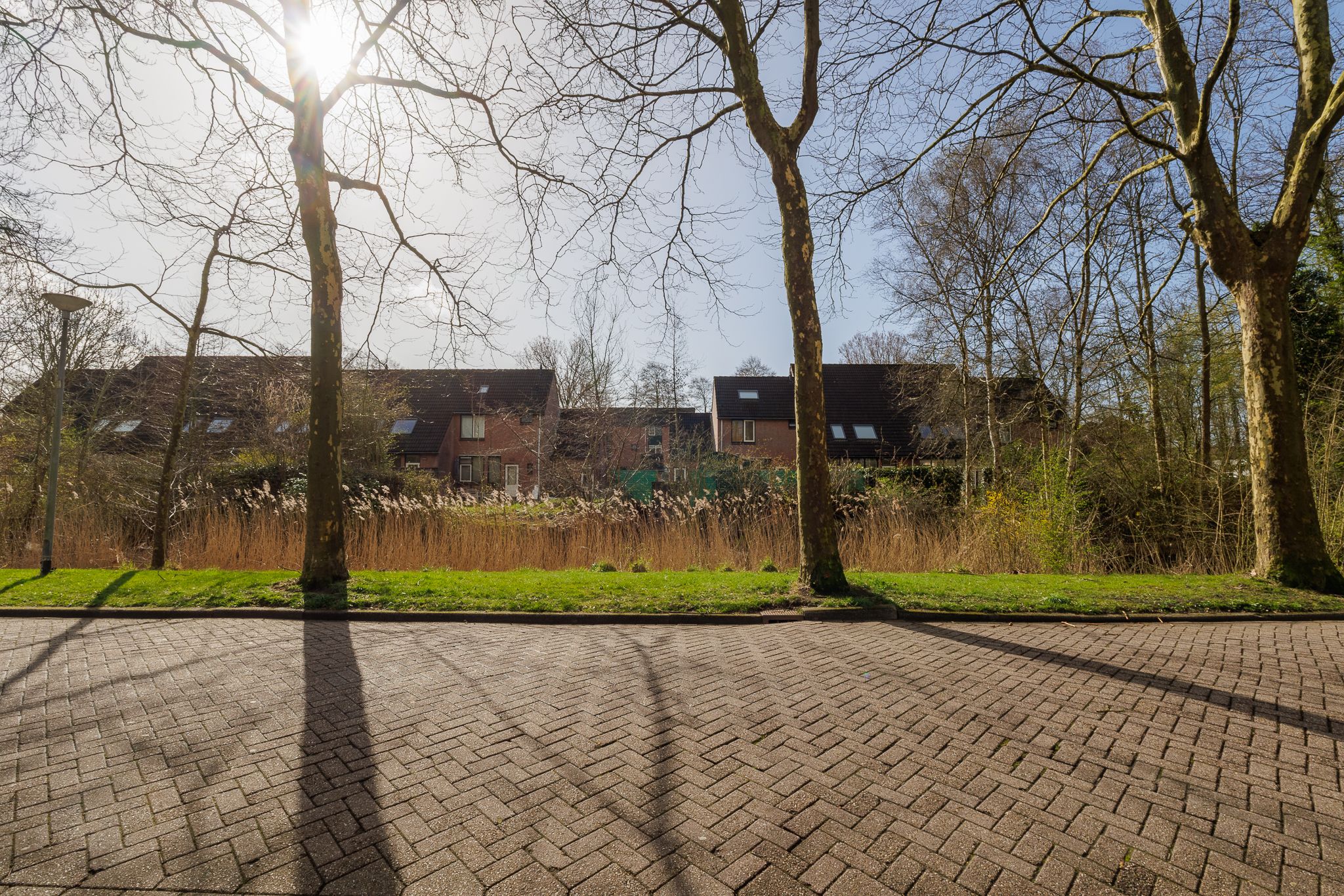 Foto 51 van Boelemaheerd 3