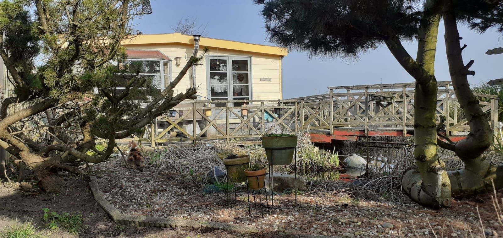 Photo 3 of De Dreef 3-C135