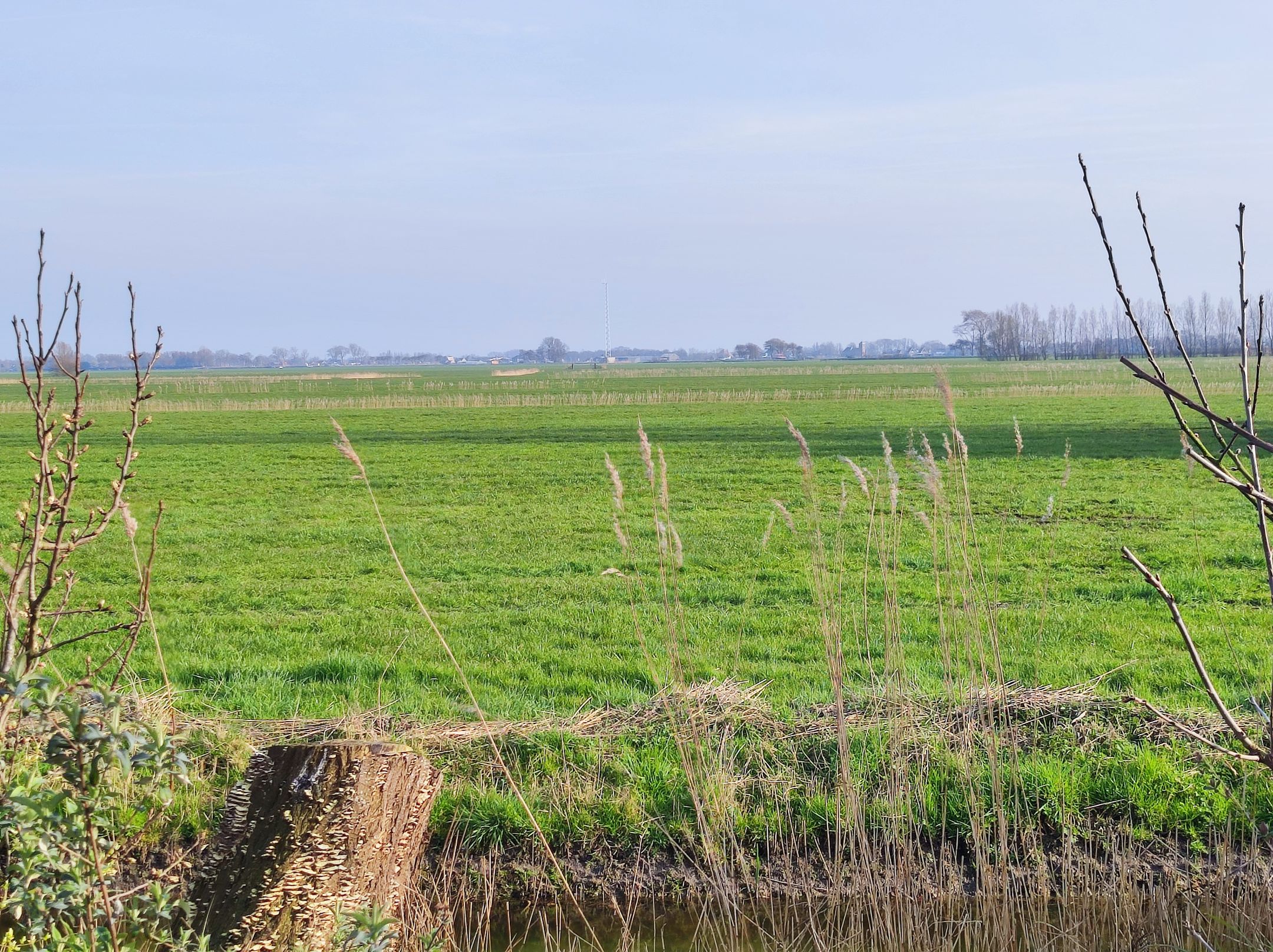 Photo 9 of De Dreef 3-C135