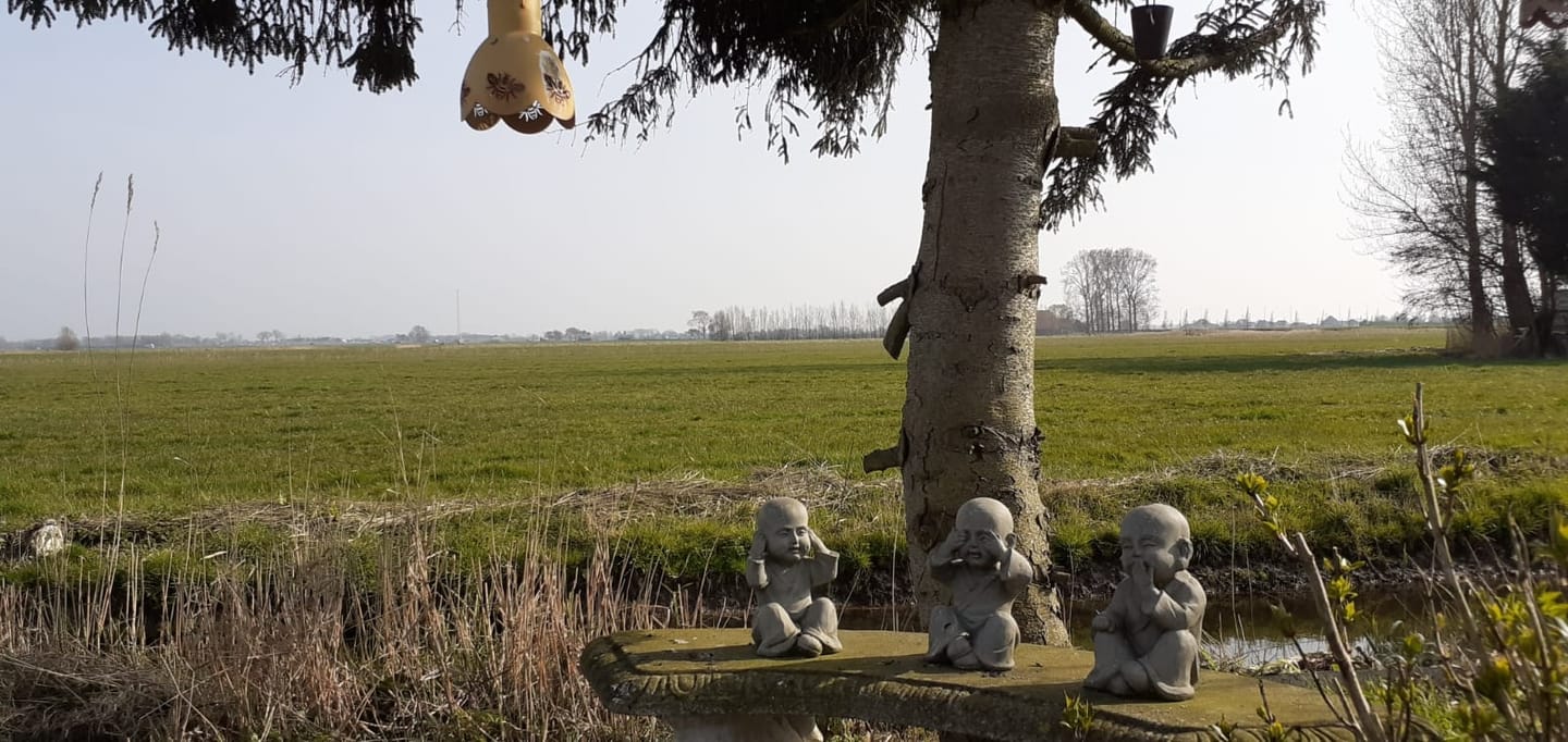 Photo 10 of De Dreef 3-C135