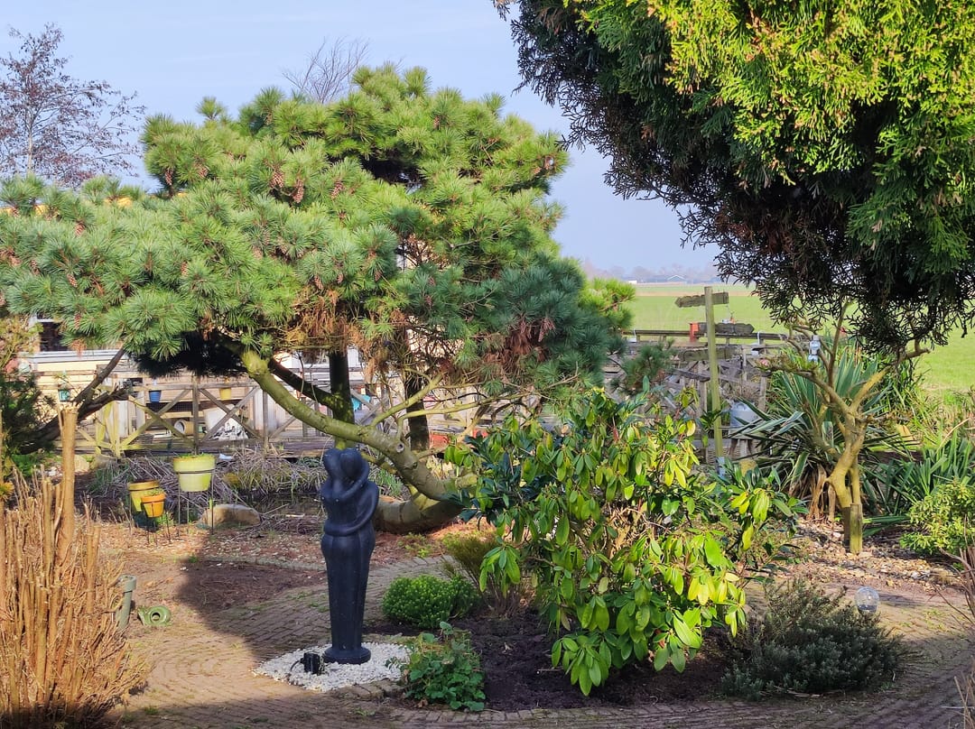 Photo 11 of De Dreef 3-C135