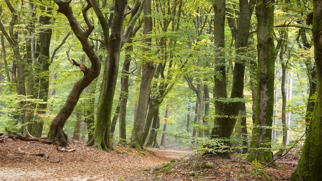 Foto 31 van Putterweg 74-K