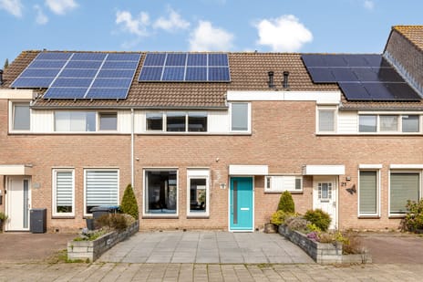 undefined main image