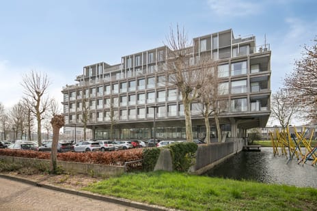 Schubertsingel thumbnail