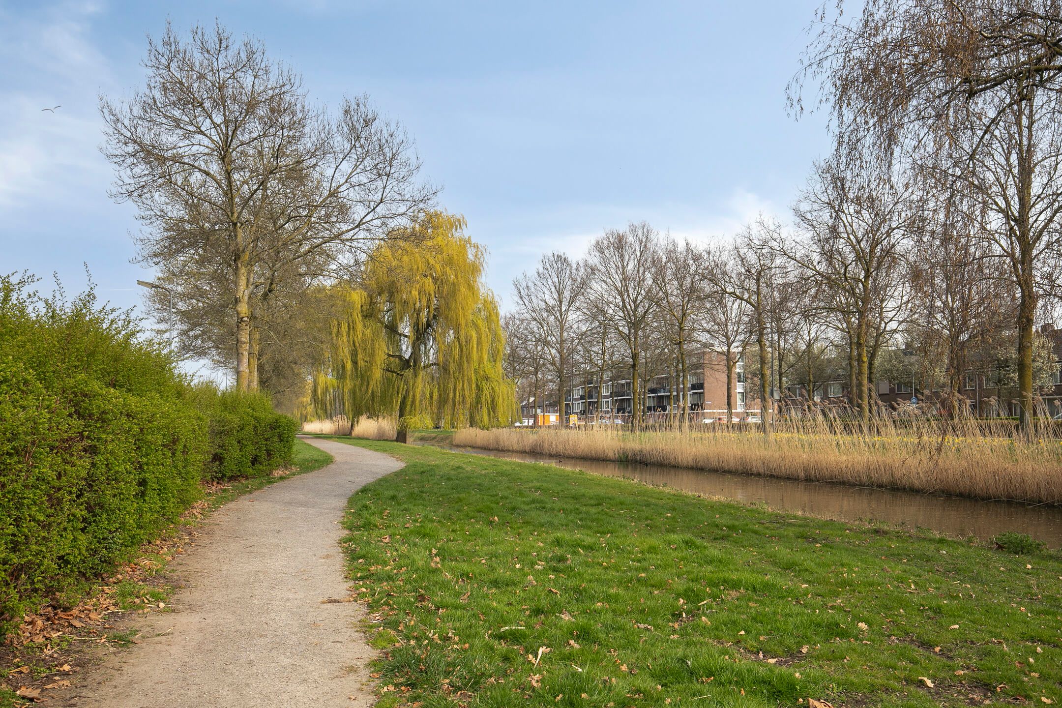 Photo 36 of Schubertsingel 94