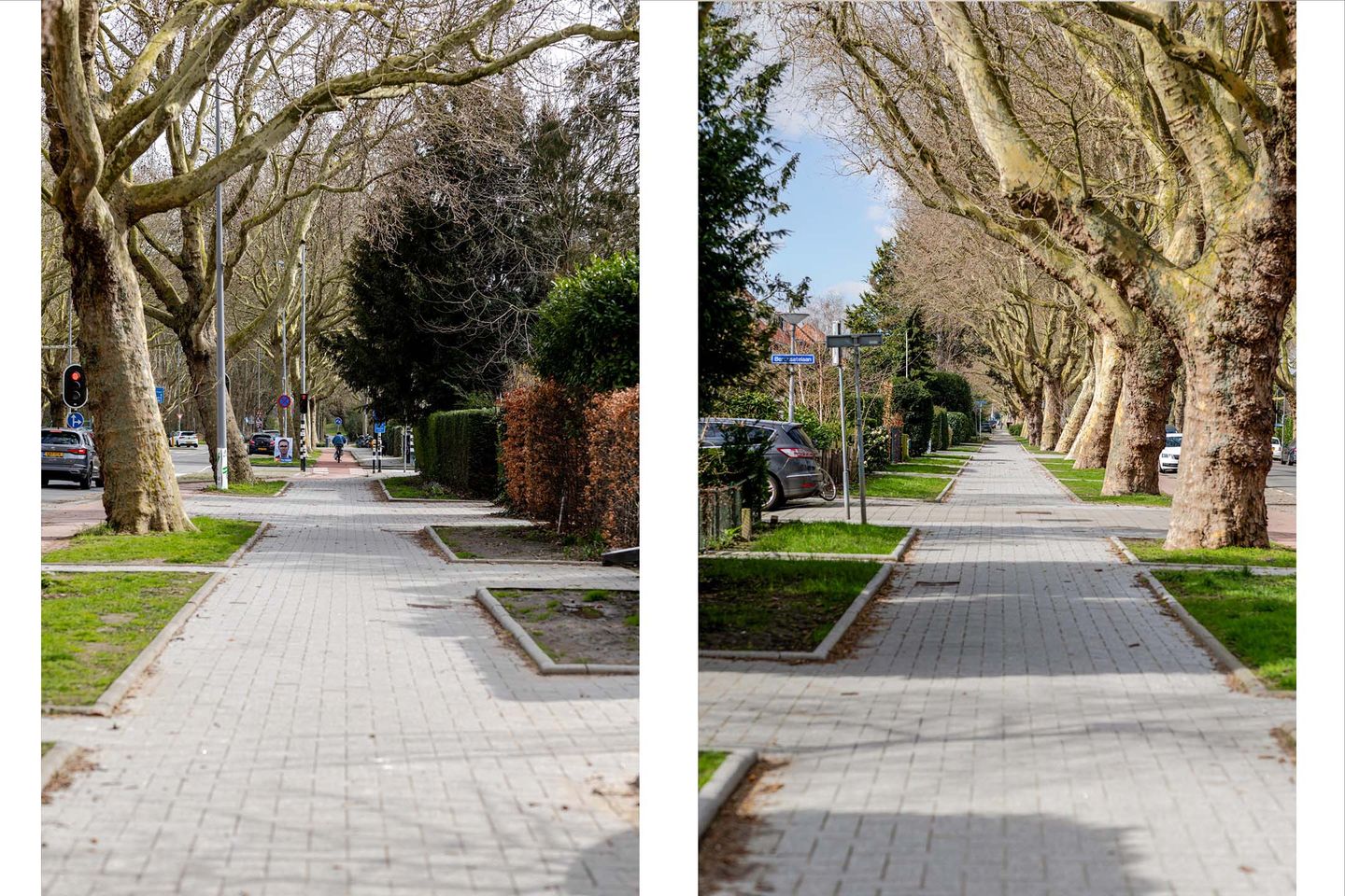 Foto 50 van Molenlaan 250