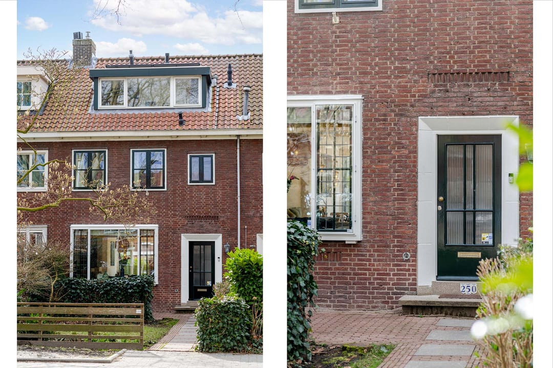 Foto 53 van Molenlaan 250