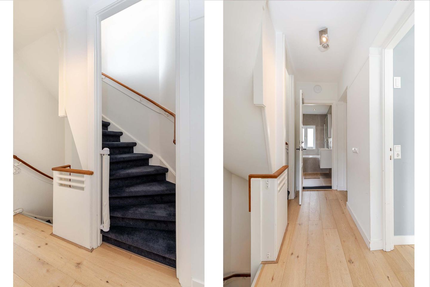 Foto 29 van Molenlaan 250