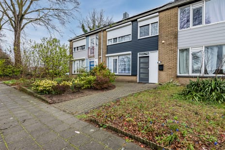 undefined main image