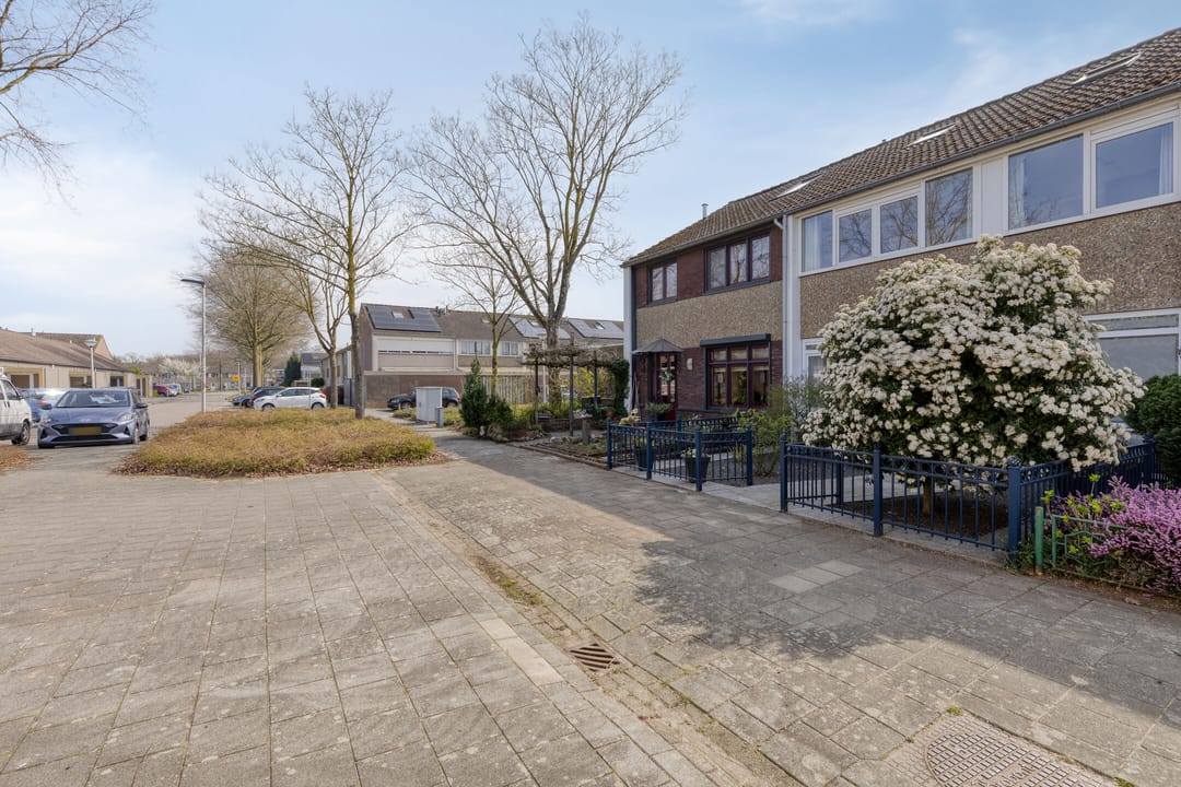 Foto 41 van Bruinvisstraat 10