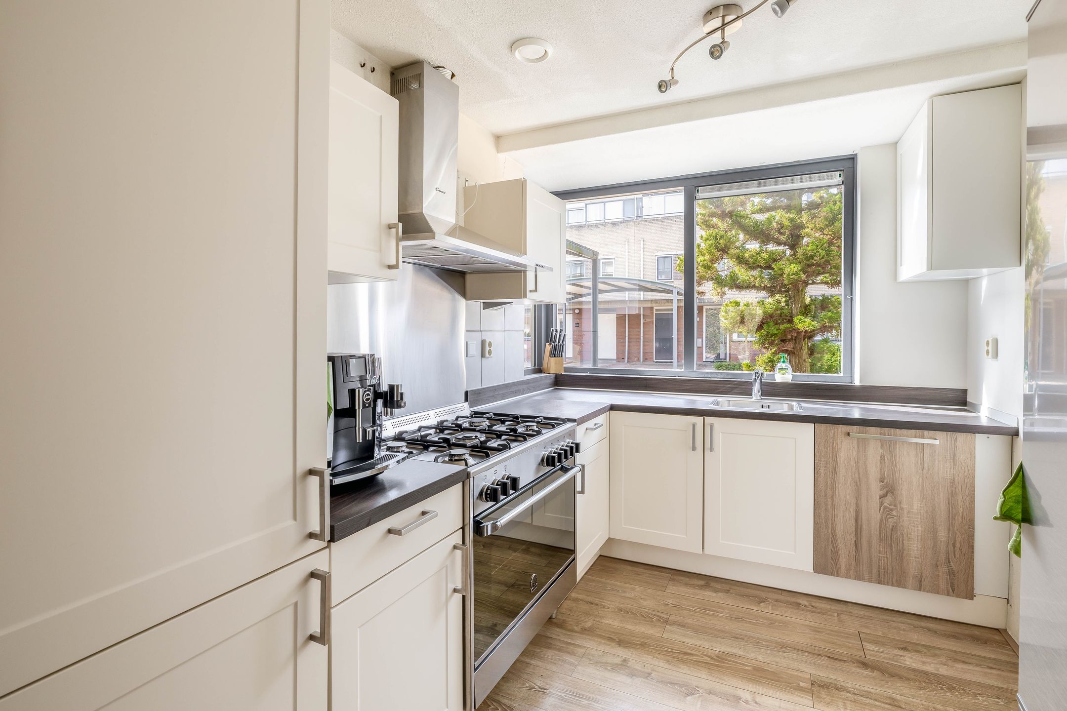 Foto 3 van Damhertstraat 42