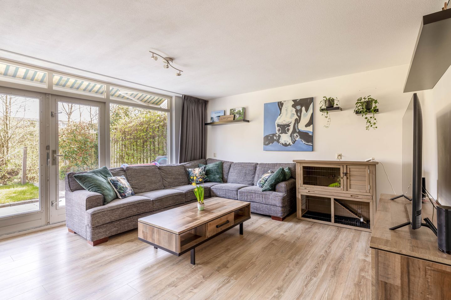 Foto 10 van Damhertstraat 42