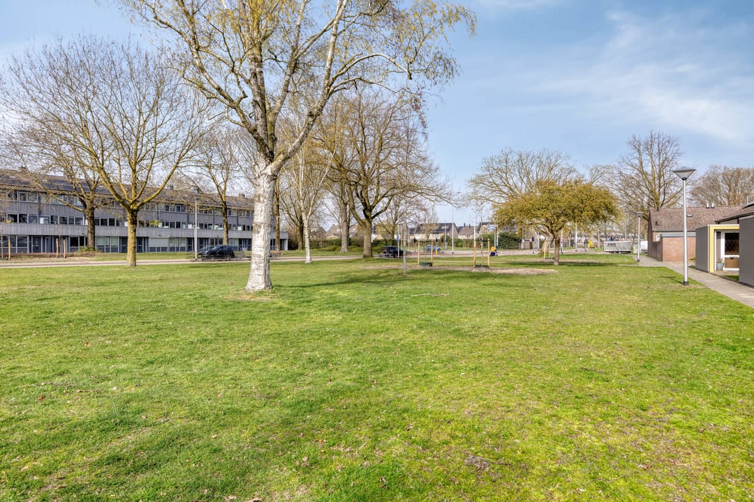 Foto 46 van Bruinvisstraat 10