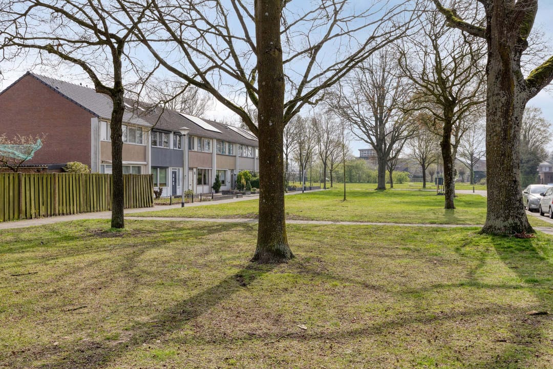 Foto 47 van Bruinvisstraat 10