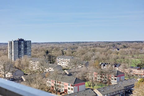 Waalstraat 225 secondary image