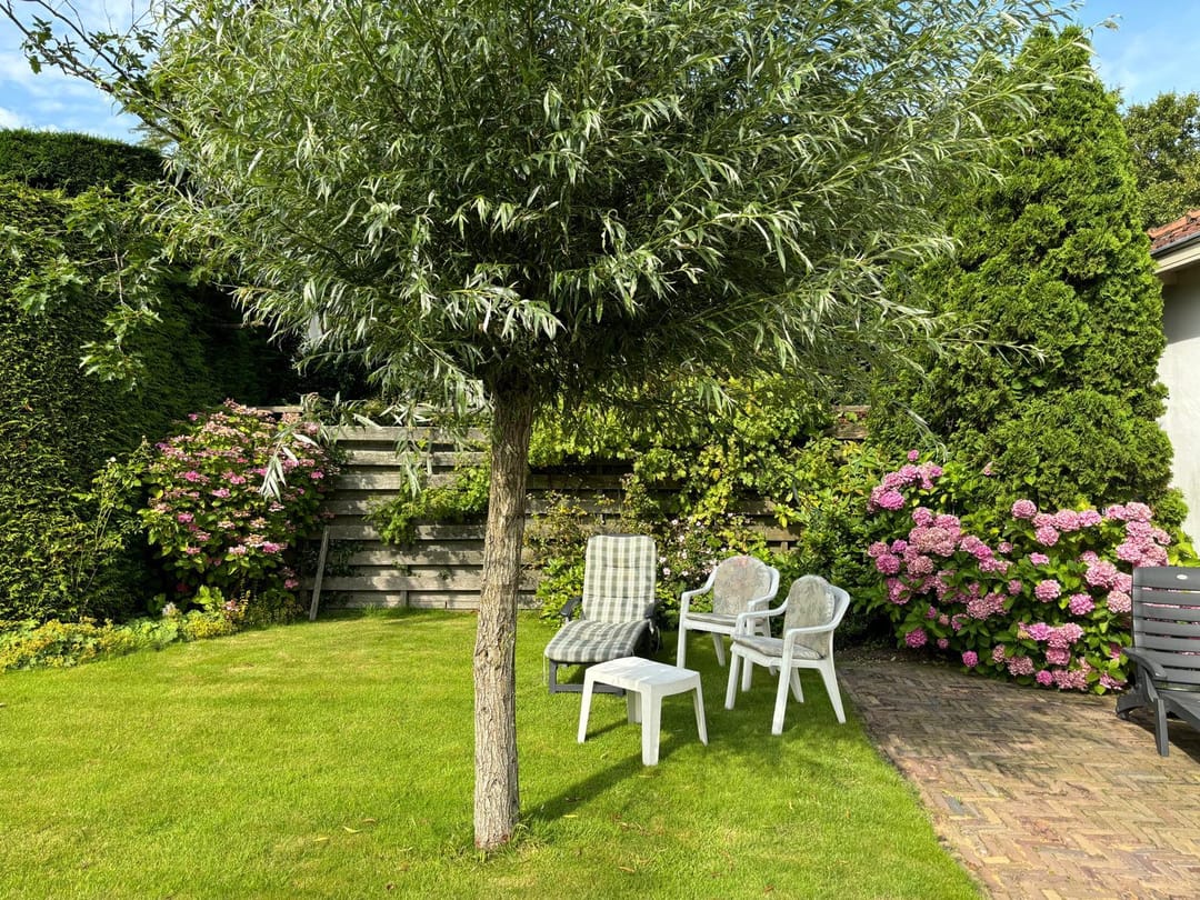 Foto 11 van Dorpsstraat 91