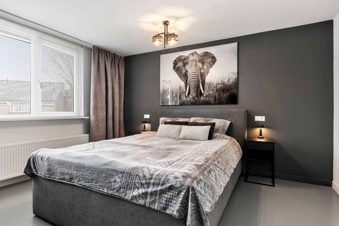 Foto 38 van Tarthorst 529