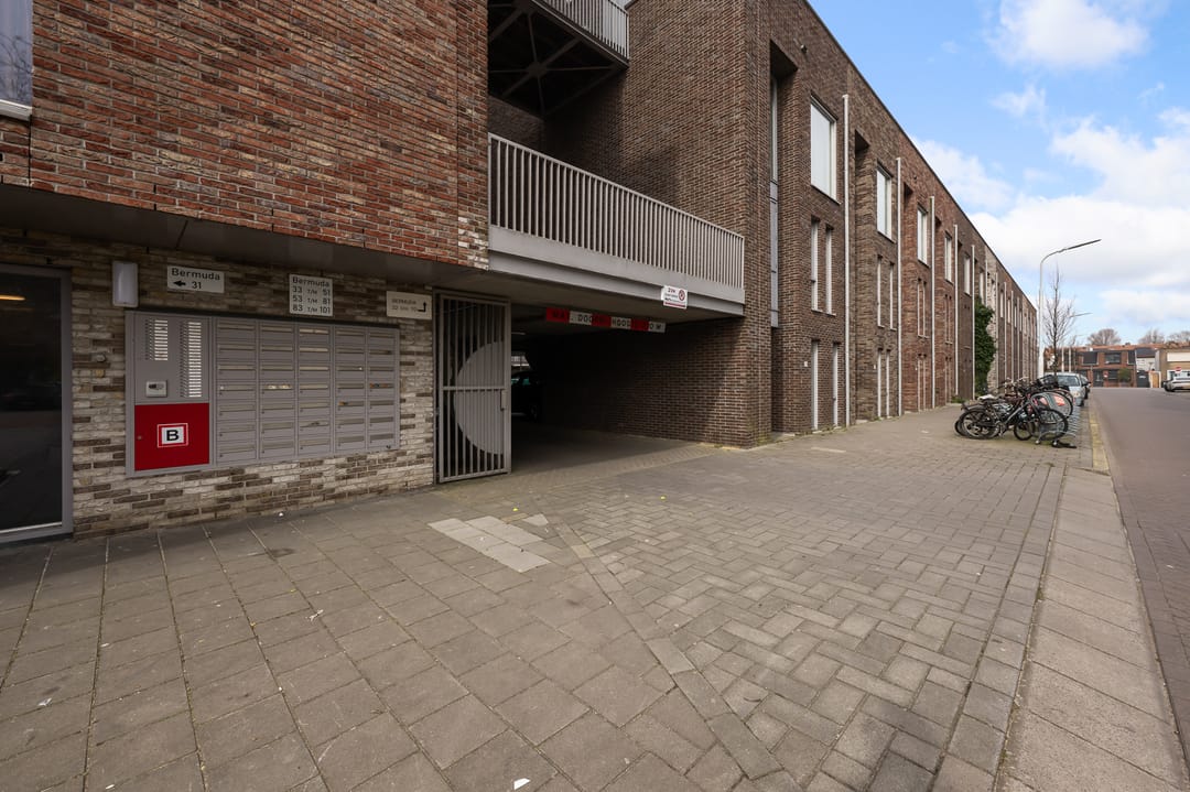 Foto 31 van Bermuda 57